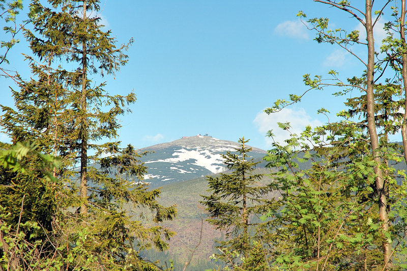dsc_0137.jpg