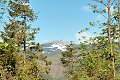 thn_dsc_0137.jpg