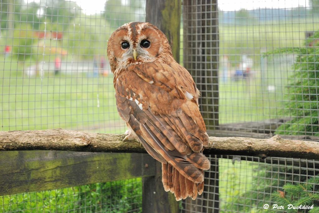 DSC_0164.jpg
