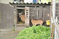thn_DSC_0159.jpg