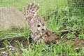 thn_DSC_0166.jpg
