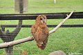 thn_DSC_0168.jpg