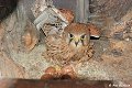 thn_DSC_0170.jpg