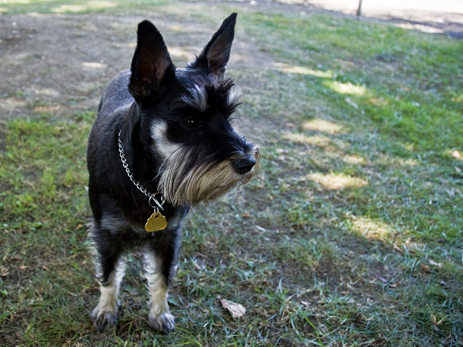 DSC_8308_6089.jpg