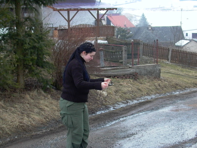 062.jpg
