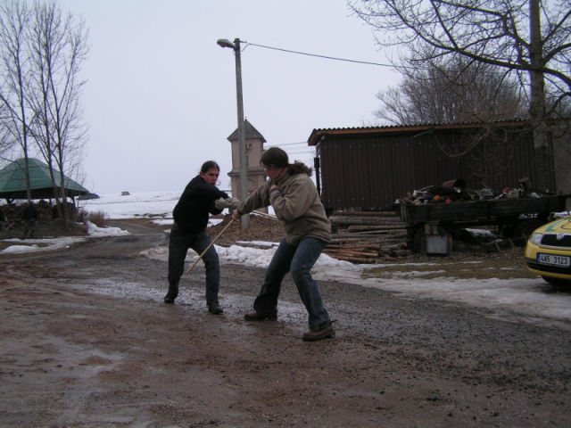 106.jpg