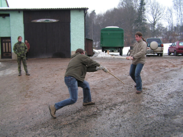 113.jpg
