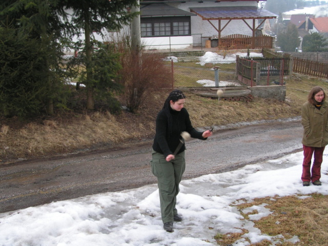 116.jpg