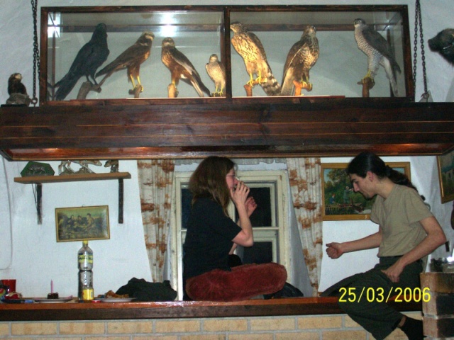 040.jpg