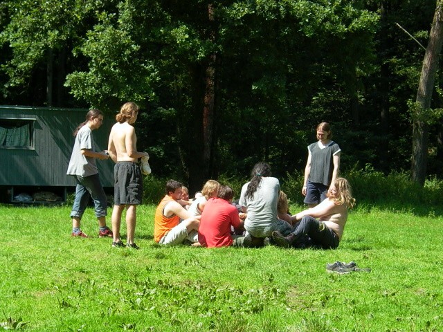 65.jpg