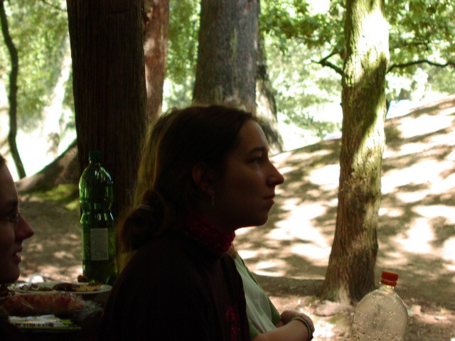 052.jpg