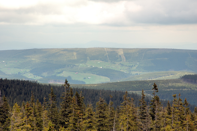 dsc_0018.jpg